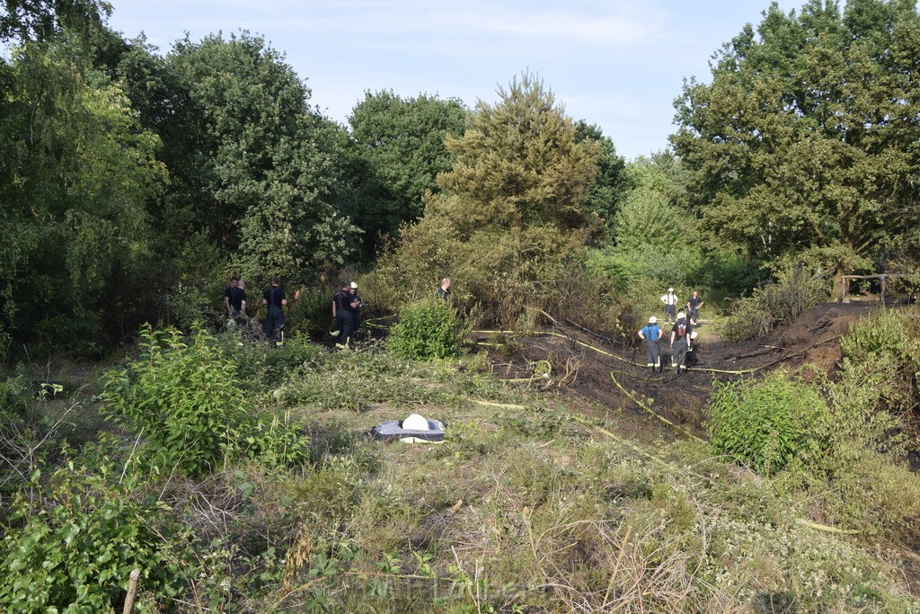 Waldbrand Koeln Hoehenhaus Hoehenfelder Mauspfad P127.JPG - Miklos Laubert